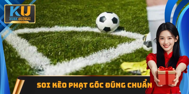 Thông tin hữu ích cần thu thập khi soi kèo